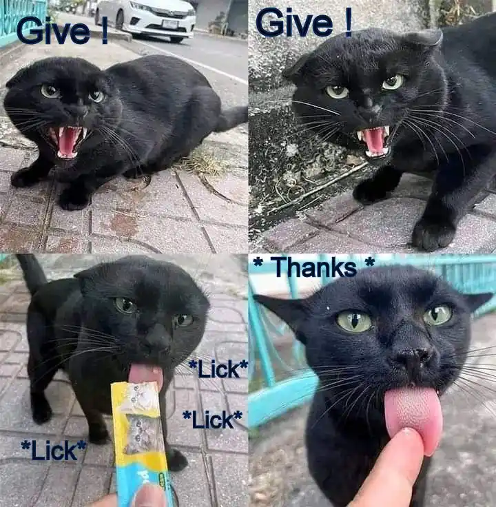 And then, just a sprinkle of manners!