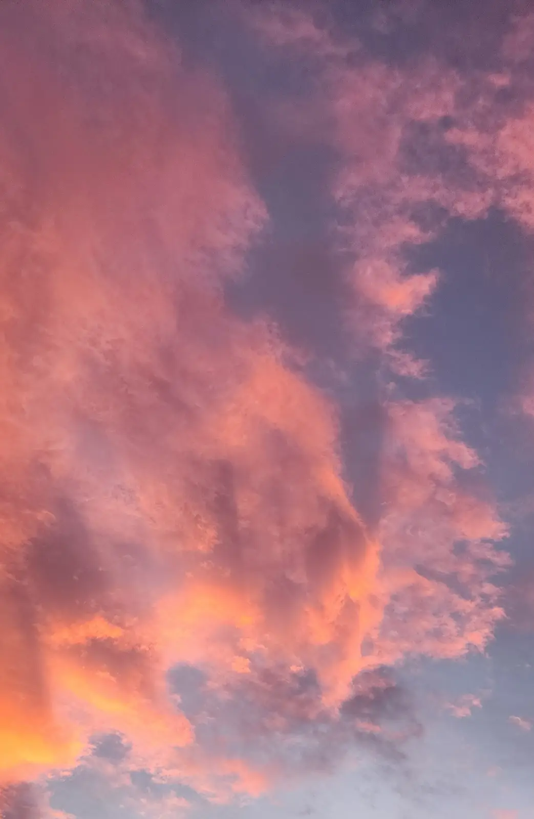 A vibrant sky at sunset or sunrise with clouds illuminated in shades of pink, orange, and purple against a darker blue…