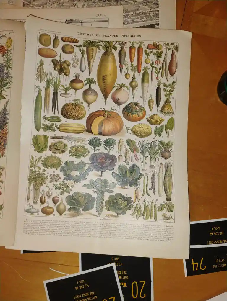 An old, detailed botanical illustration titled 'LÉGUMES ET PLANTES POTAGÈRES' showing numerous labeled vegetables like…