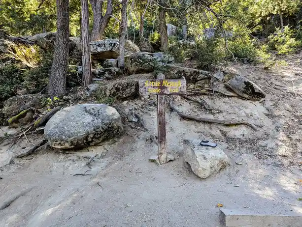 A wooden trail sign reading 'Ernie Maxwell Scenic Trail' stands in a forested area with large rocks and trees. A single gray…