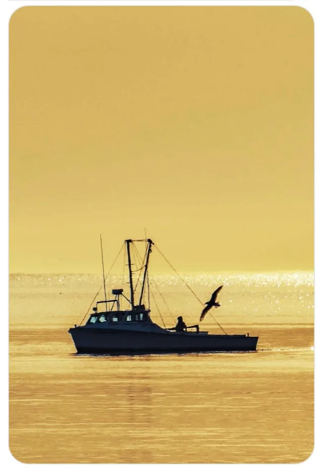 A silhouette of a small fishing boat on calm water under a golden-hued sky, with a seagull flying nearby. The overlaid text…
