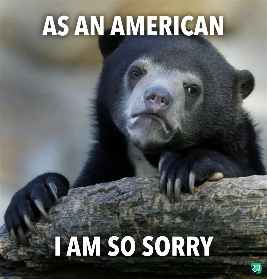 A close-up photo of a sad-looking spectacled bear resting its paws on a log, with white bold text overlaid at the top…