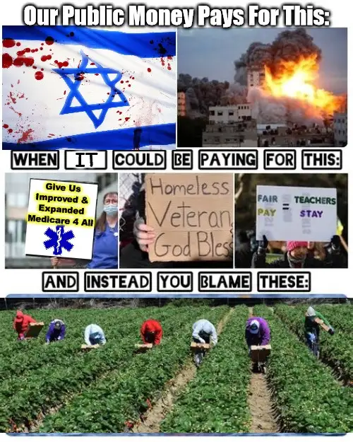 The meme displays a top row with a blood-splattered Israeli flag and a burning building, labeled 'Our Public Money Pays For…