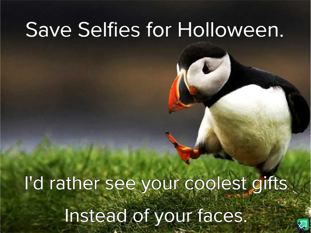 A puffin stands on green grass, looking down with a slightly annoyed or unimpressed expression. White text overlaid on the…