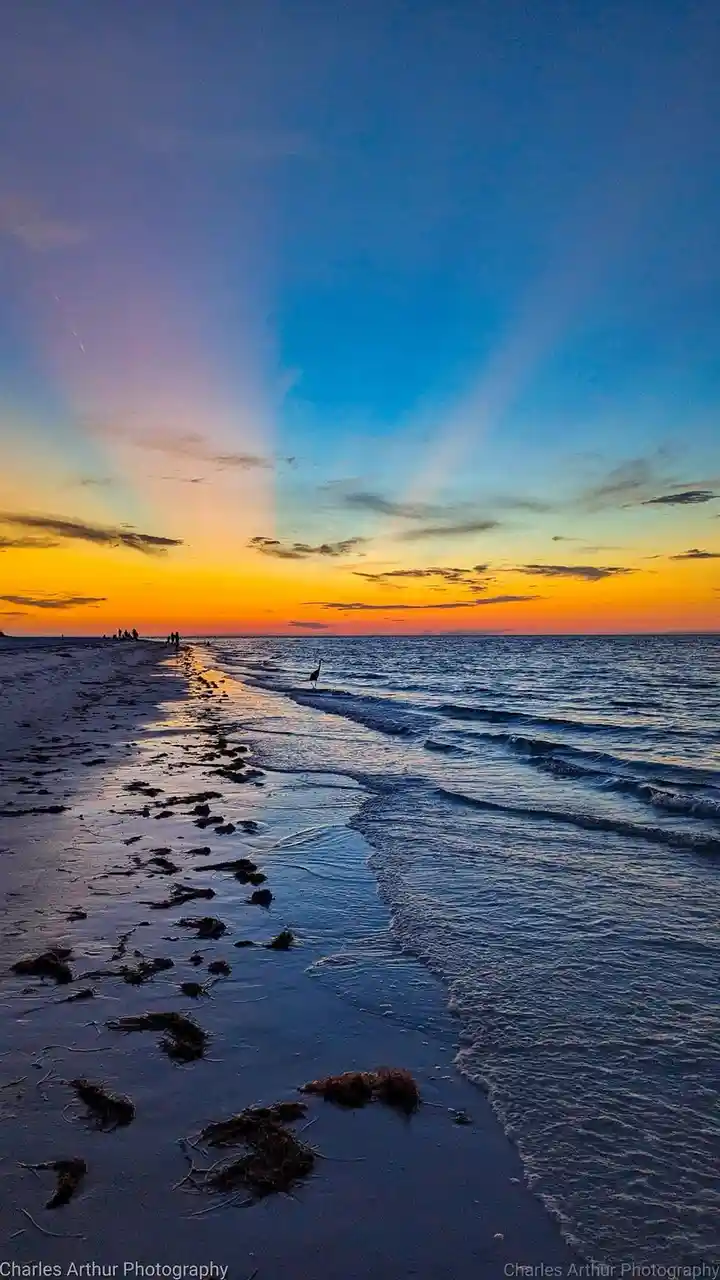 A serene beach sunset photo with a gradient sky from orange to blue, waves lapping at the shore, and a lone bird standing in…