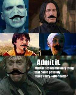 A collage of five characters from the Harry Potter films, all digitally altered to have prominent mustaches. The characters…