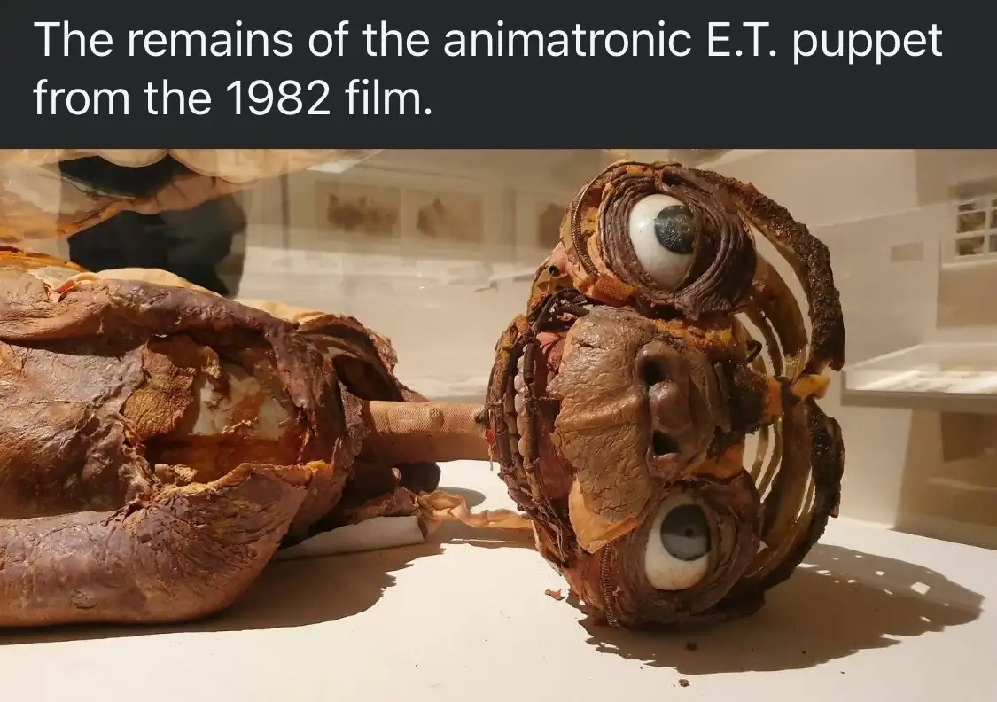 The image shows the deteriorated, decaying remains of the animatronic E.T. puppet from the 1982 film, displayed in a museum…