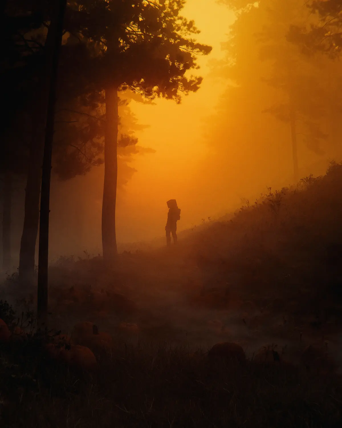 A silhouette of a person standing in a misty, orange-hued forest, carrying a large pumpkin on their head. The ground is…