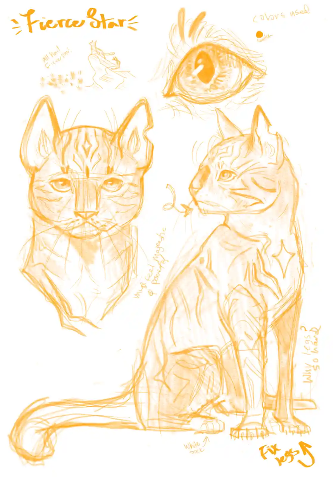 An orange sketch of a stylized cat character named 'Fierce Star' with multiple views including a full-body sitting pose, a…