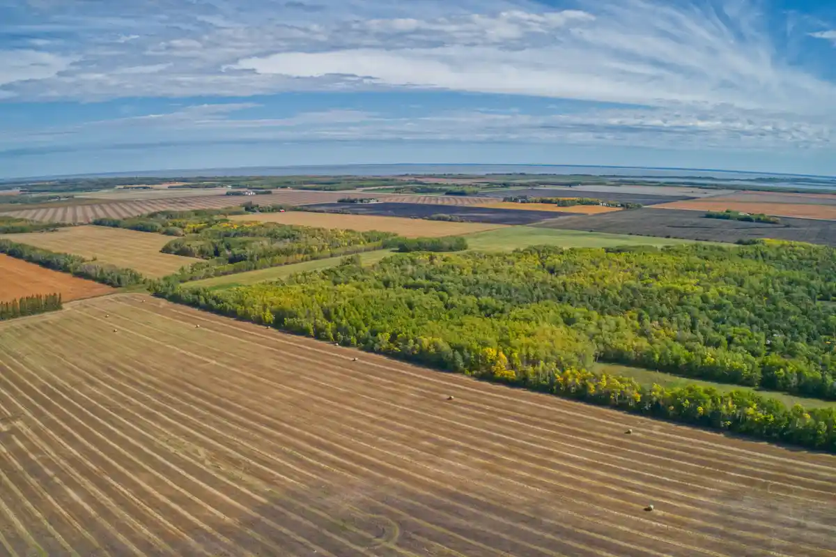 An aerial view of a vast agricultural landscape with plowed fields, patches of green and yellow trees, and distant water…
