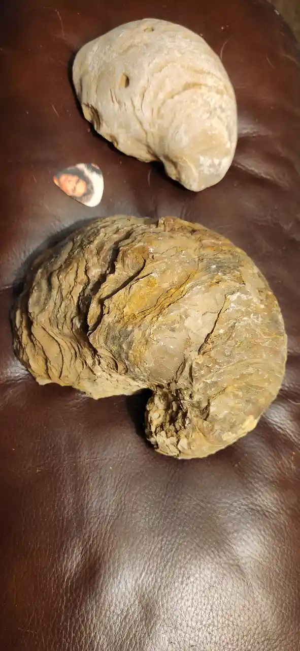 Two large, irregularly shaped rocks rest on a brown leather surface. The larger rock in the foreground has a rough, layered…