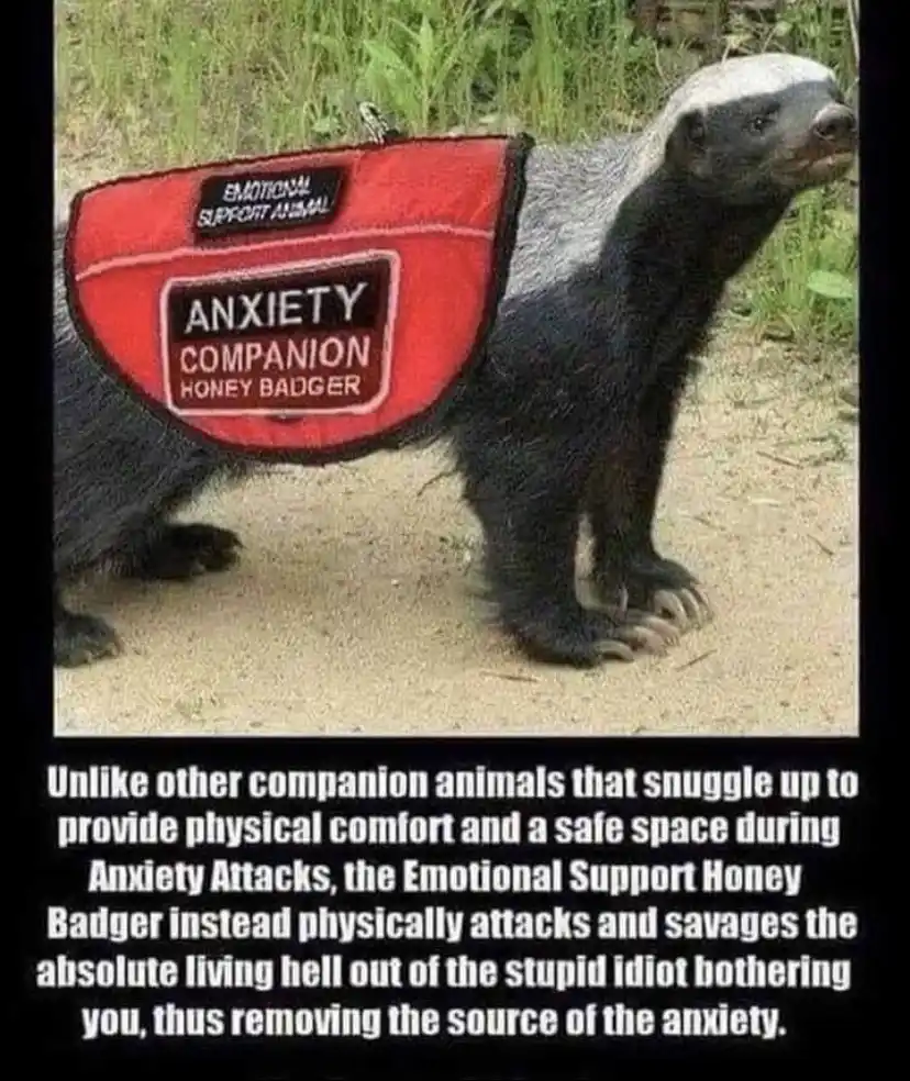 A honey badger stands on a dirt path wearing a red vest labeled 'EMOTIONAL SUPPORT ANIMAL' and 'ANXIETY COMPANION HONEY…