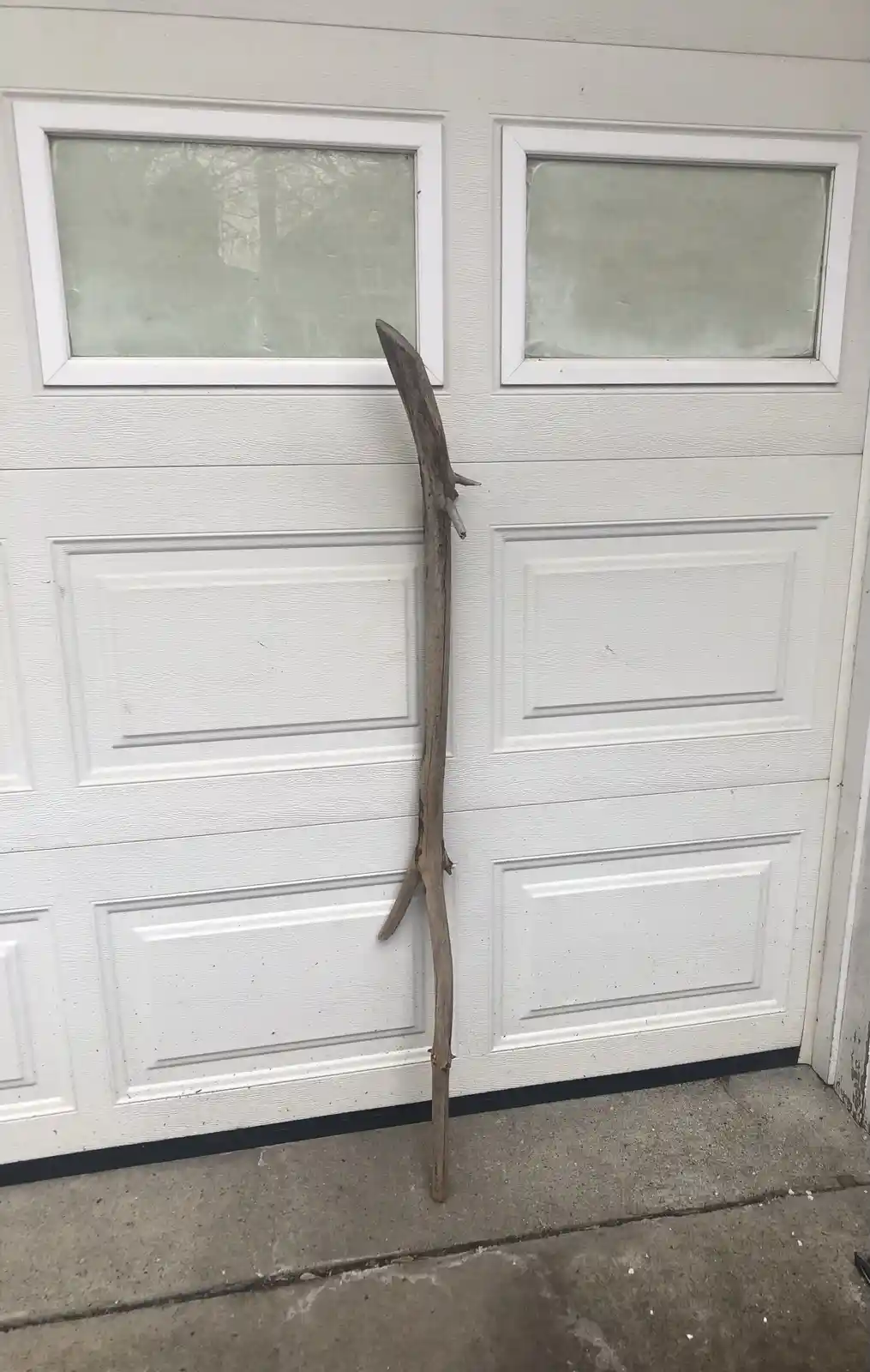 A long, gnarled, weathered wooden stick leans upright against a white garage door with frosted glass panels. The stick has a…