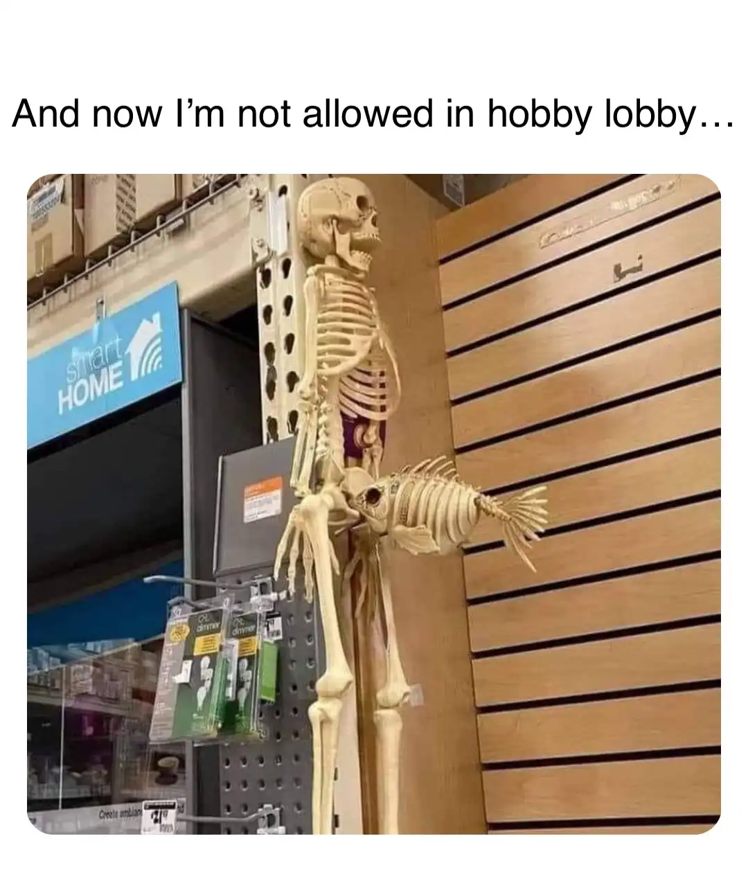 A human skeleton model is displayed in a retail store aisle, holding a fish skeleton in its hands. The background shows…