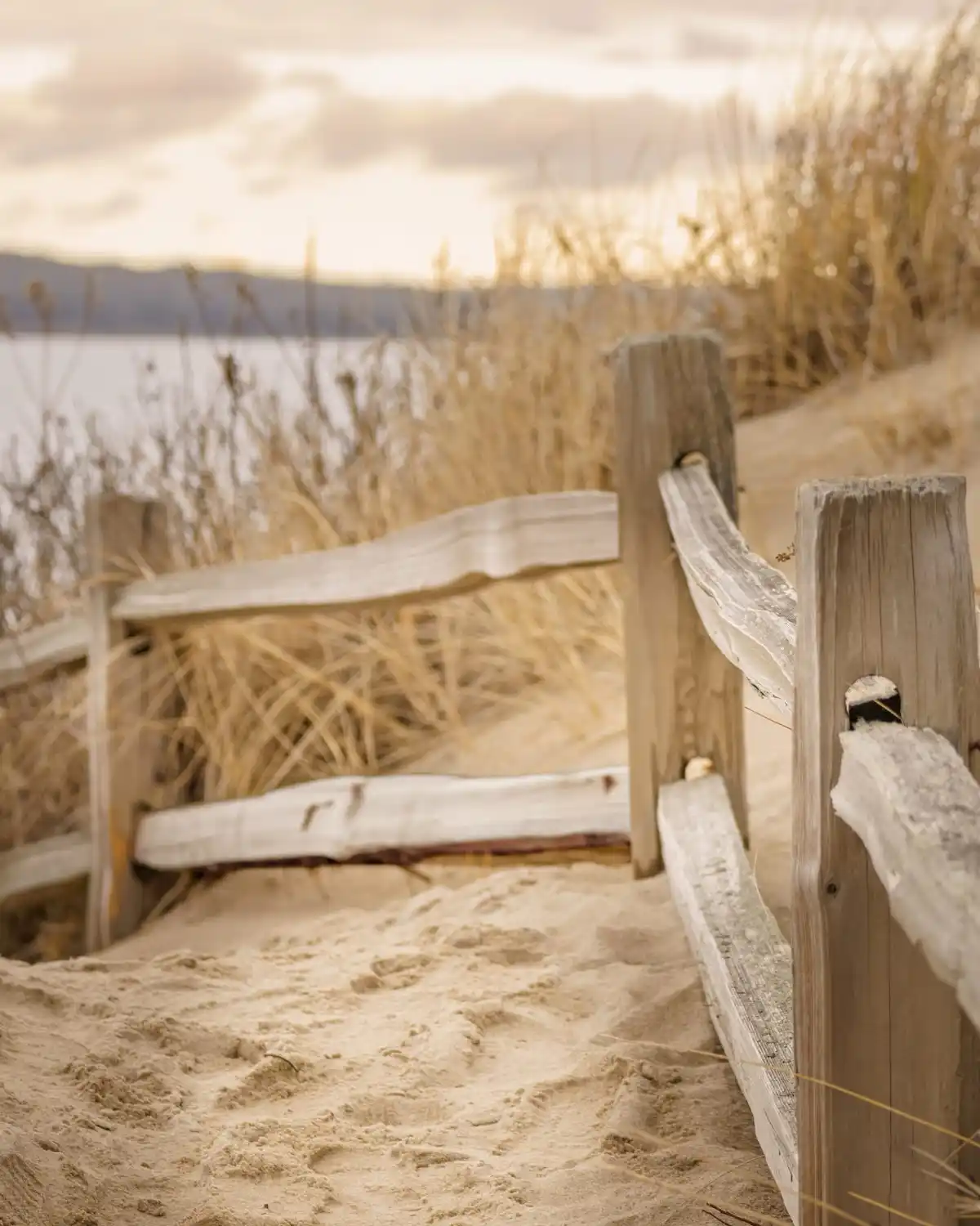 A serene, slightly blurry photo of a weathered wooden fence on a sandy beach with dune grass and a body of water in the…