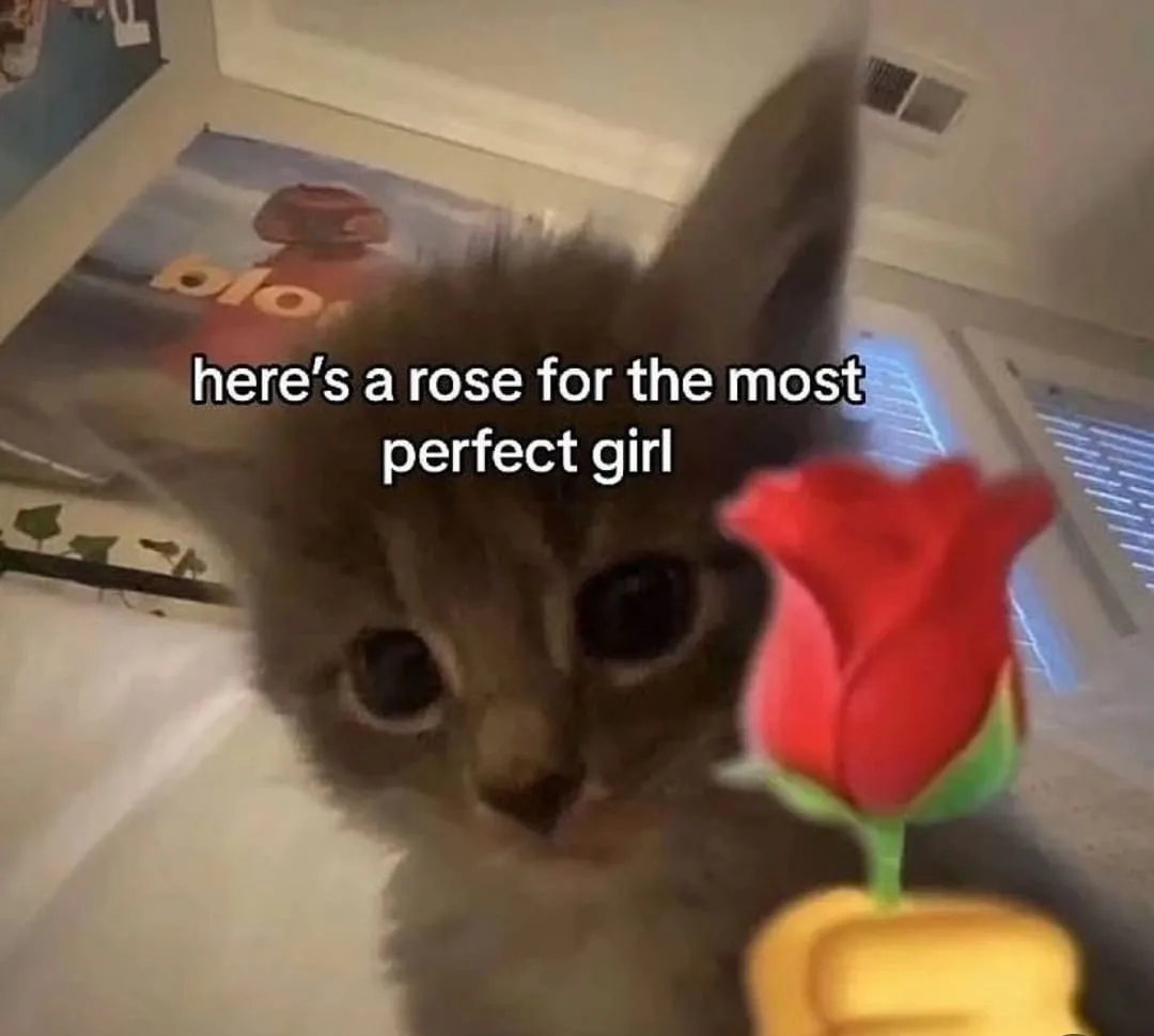 The Ideal Girl: She’s Perfect in Every Way