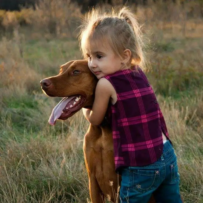 A young girl with blonde hair in a ponytail, wearing a purple plaid sleeveless shirt and blue jeans, hugs a large brown dog…