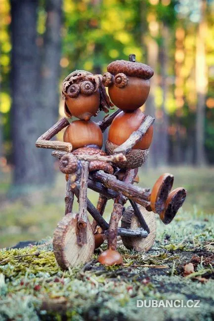The Enchanting World of Acorn Fairies