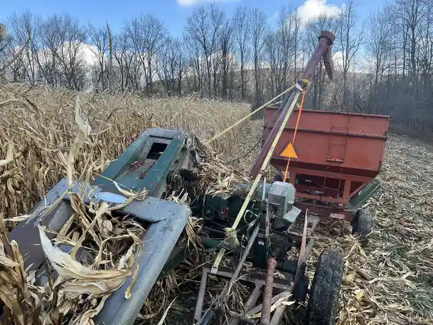 A green and red farm machine, likely a corn harvester or grain cart, is stuck in a field of dry, harvested corn stalks. The…