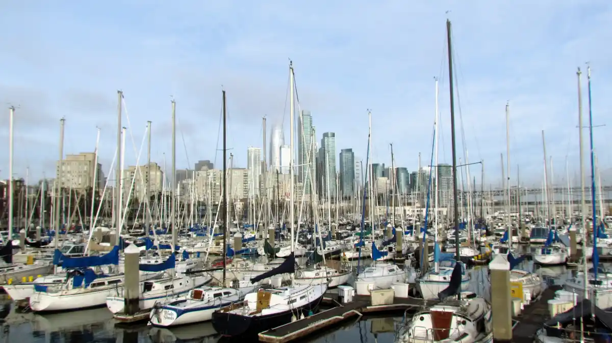 A marina filled with numerous sailboats and yachts docked in calm water, their masts rising toward a partly cloudy sky. In…