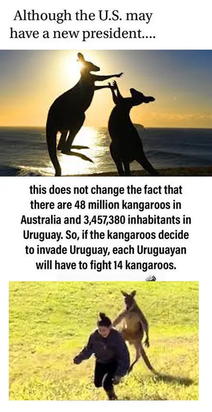 Kangaroos Take on Uruguay in a Wild Showdown