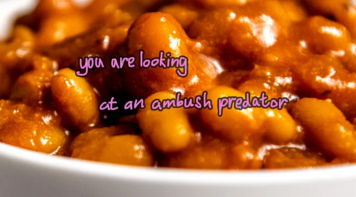A close-up photo of a bowl of baked beans in a thick, glossy sauce. Overlaid in pink, stylized text is the phrase 'you are…