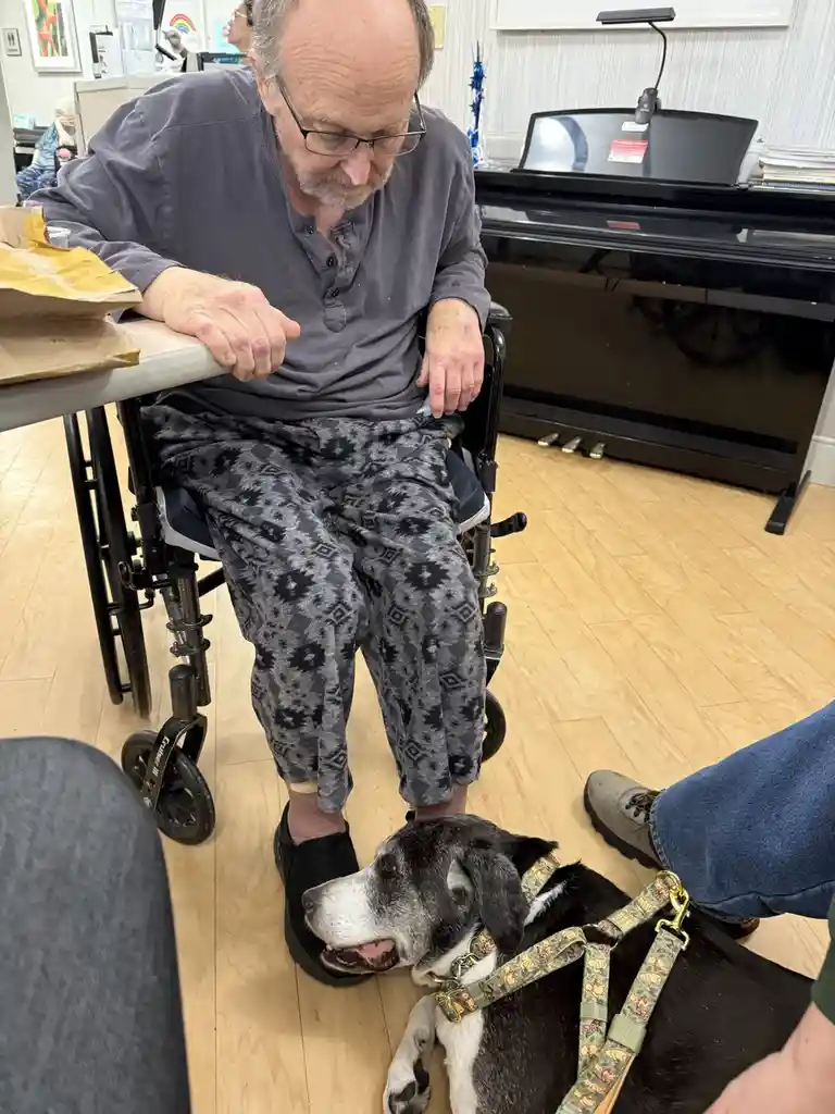 A man in a wheelchair wearing grey pajama pants and glasses looks down at a black and white dog lying on the floor near his…