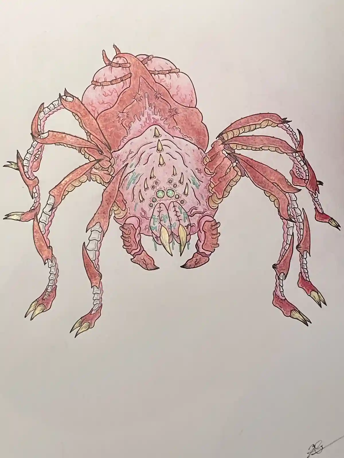 Beware the Doom Spider: A Creepy Encounter Awaits