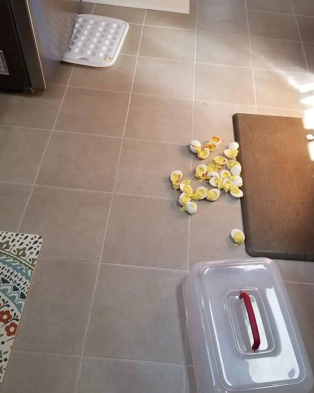 A kitchen floor with scattered hard-boiled egg halves arranged into a star shape, next to a cutting board, a plastic…