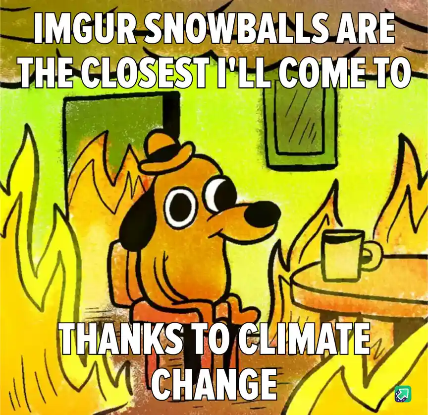 A cartoon dog wearing a hat sits calmly in a room engulfed in flames, sipping from a mug. The text overlaid on the image…