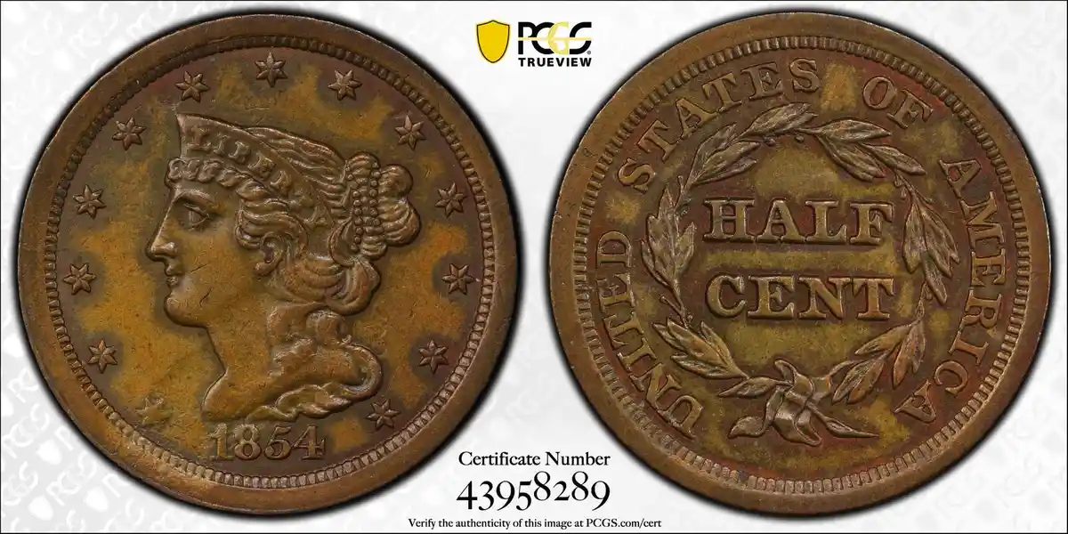 The image displays both sides of an 1854 United States half cent coin, showing Liberty's profile on the obverse and 'HALF…