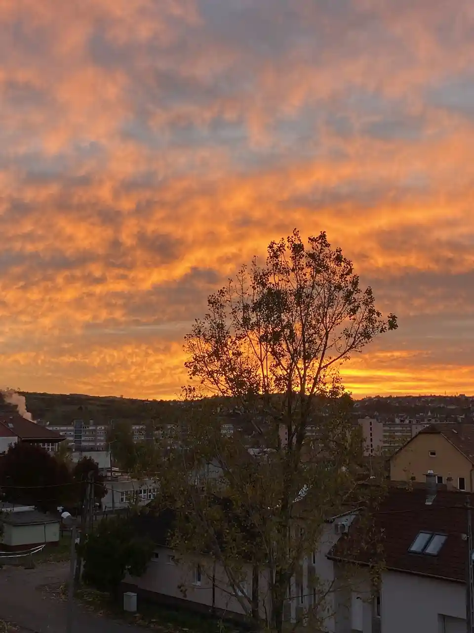 A photograph of a vibrant orange and pink sunset over a cityscape with houses and trees, overlaid with the text 'i'm not…