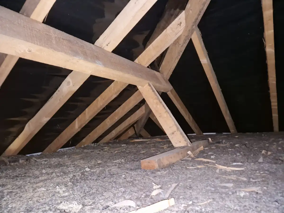 A low-angle shot of a dusty attic floor with exposed wooden roof trusses and black insulation above. The overlaid text reads…