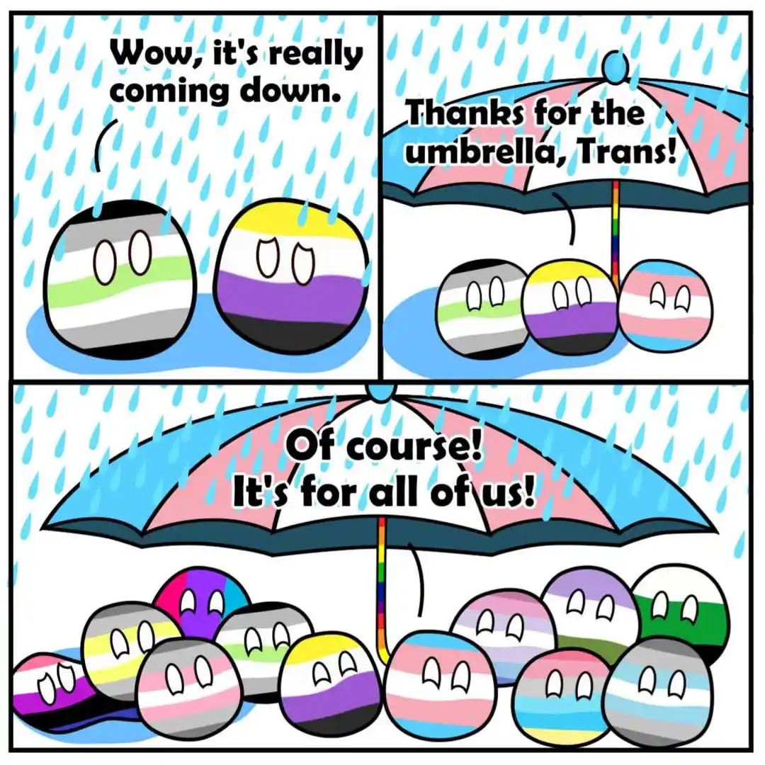 A three-panel comic strip featuring gender identity pride flag ball characters in the rain. In the first panel, two…