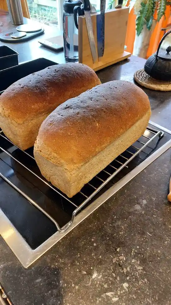 Two freshly baked, golden-brown loaves of bread sit side-by-side on a metal cooling rack on a dark kitchen countertop. In…