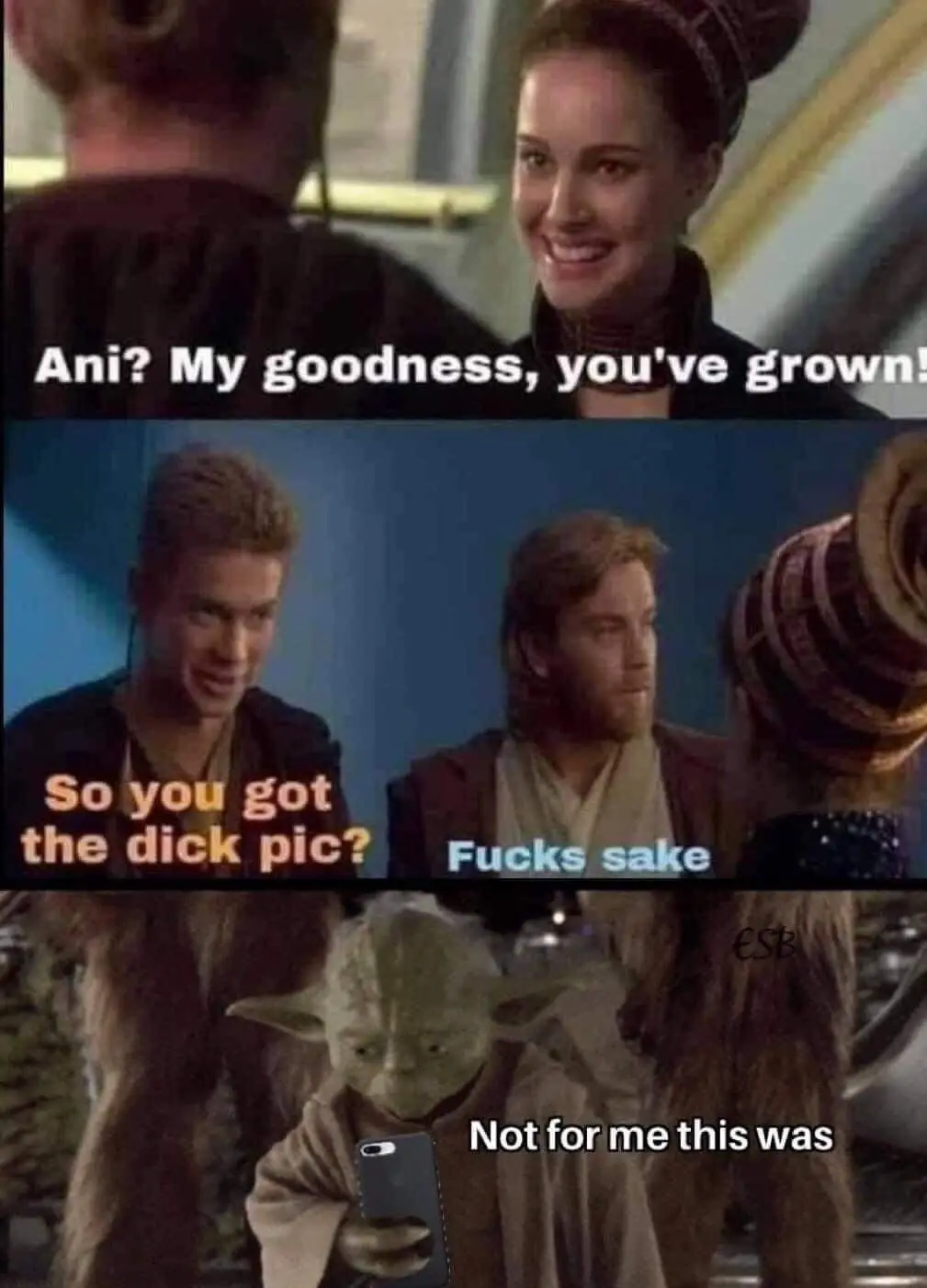A three-panel Star Wars meme featuring Padmé Amidala, Anakin Skywalker, Obi-Wan Kenobi, and Yoda. In the first panel, Padmé…