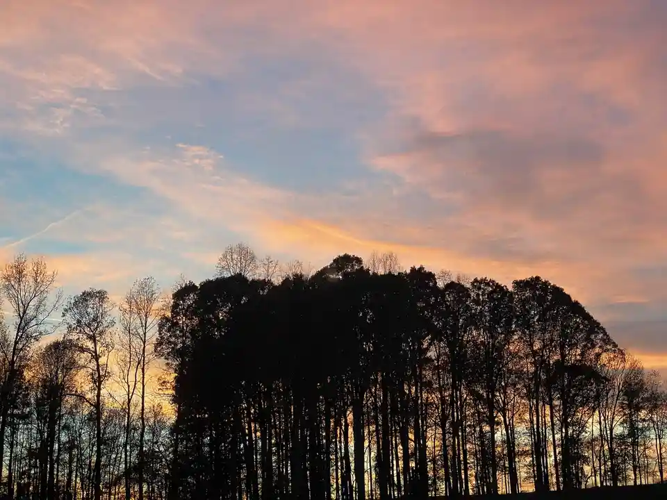 A serene sunset photo showing silhouettes of trees against a sky painted with soft pink, orange, and blue hues. The overlaid…