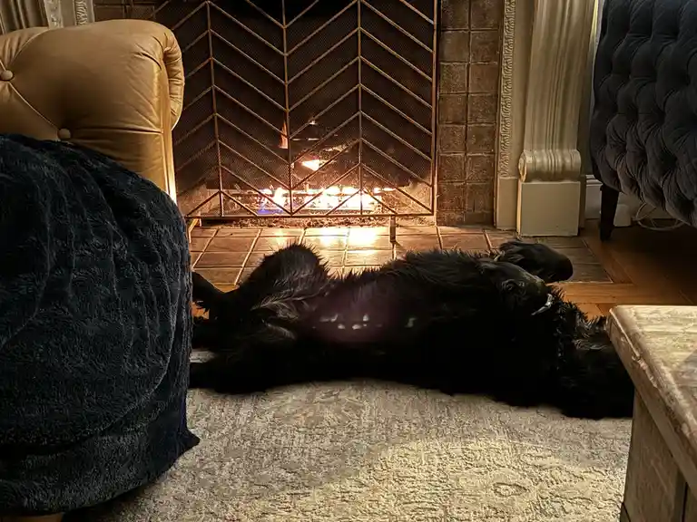 Mabel's Ultimate Favorite Season Revealed!