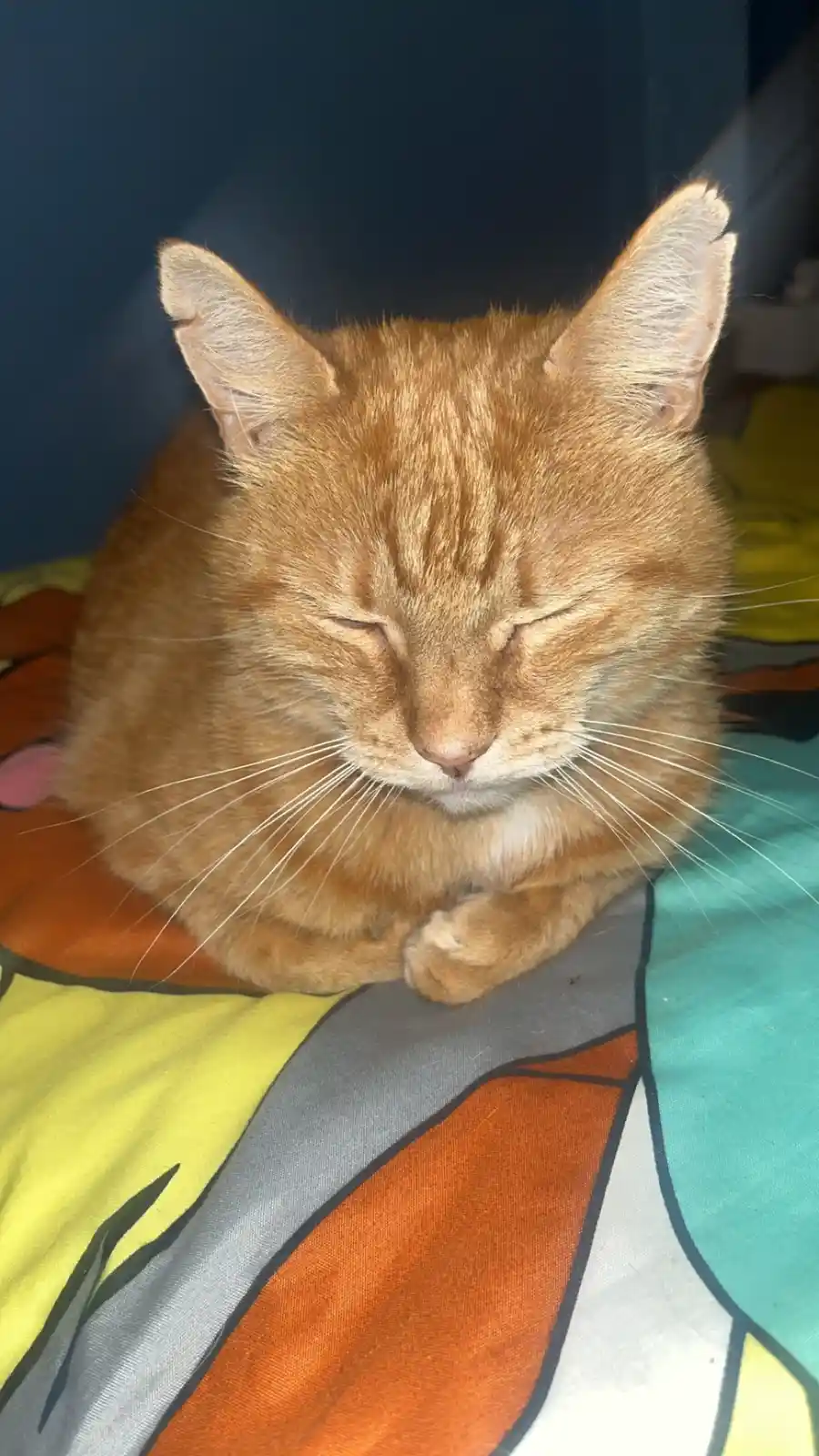 Delicious Loaf of Happiness <3