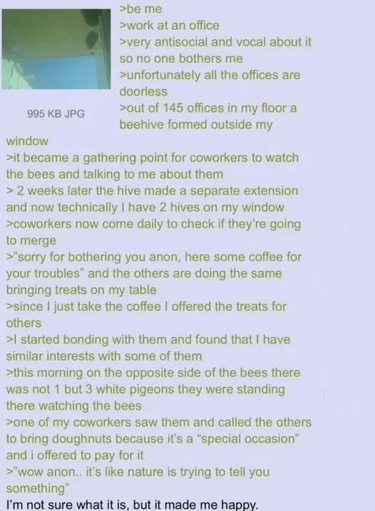 A text-based meme featuring a long, humorous narrative in a green monospace font on a light purple background. The text…
