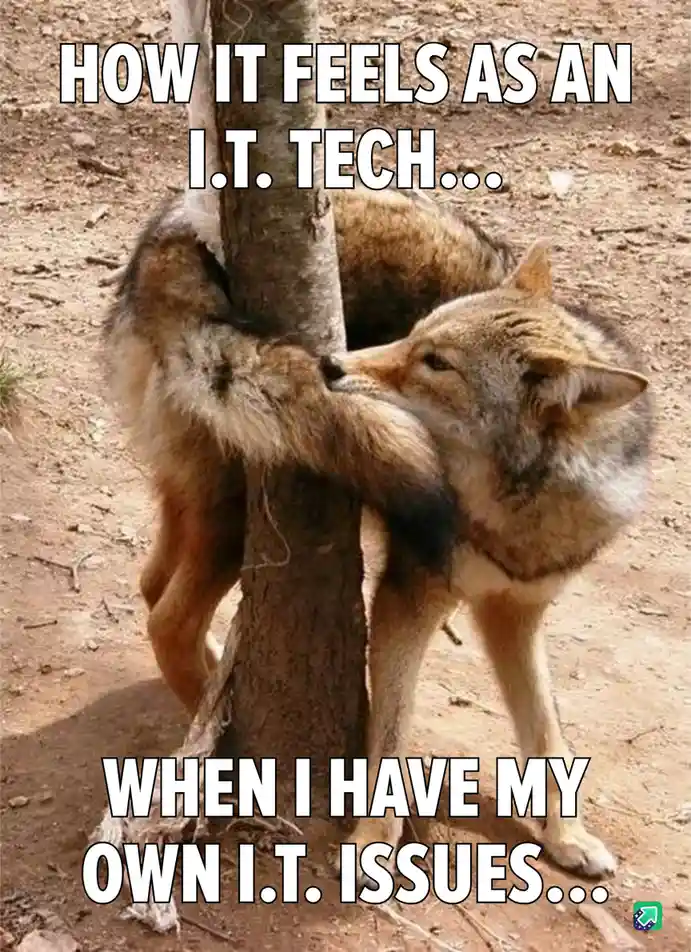 Two coyotes are shown in a dry, dirt-covered area, with one coyote's body wrapped around a tree trunk while the other coyote…