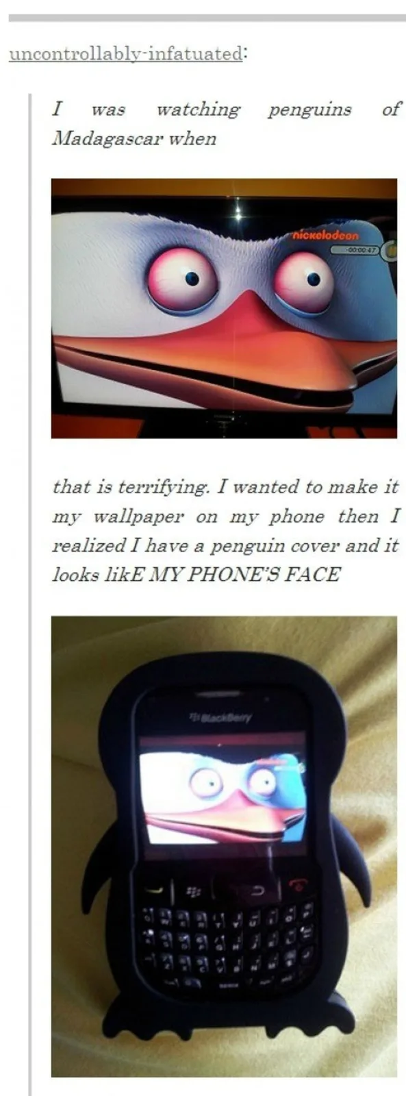 This Bird is Terrifying!