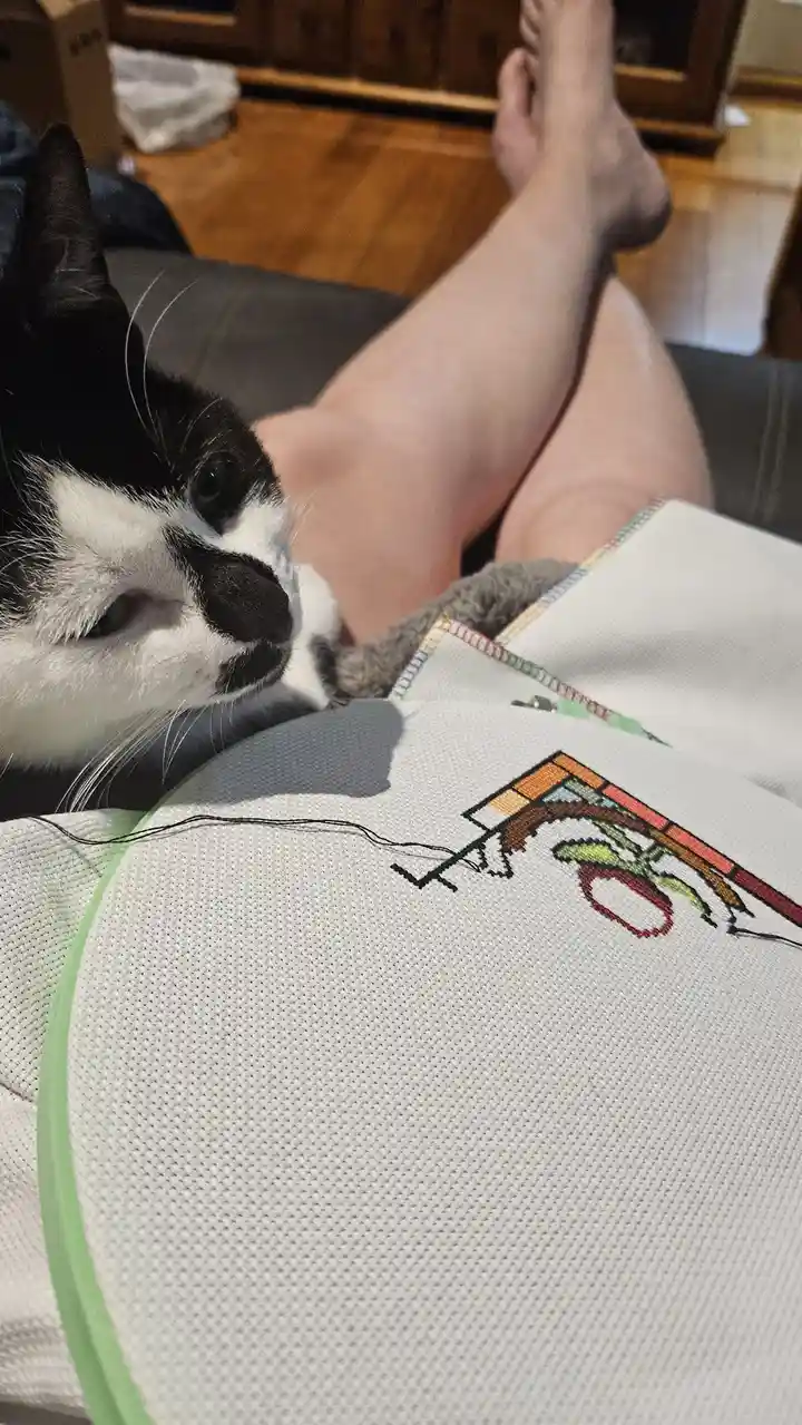 A black and white cat rests its head near a person's leg while they cross-stitch on a white fabric held in a green hoop. The…
