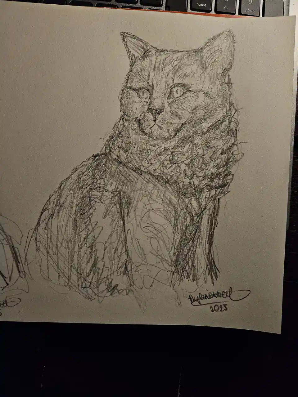 A sketch of a cat drawn with heavy, messy pencil strokes on paper, resting on a laptop keyboard. The artist's signature…