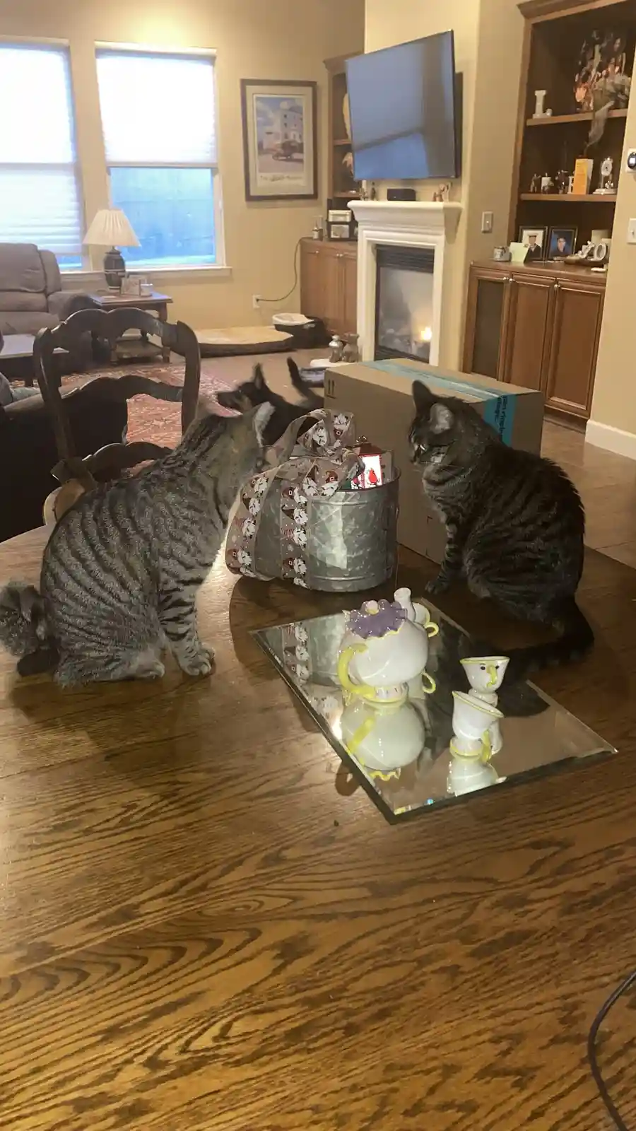 Two tabby cats sit on a wooden dining table in a living room, one sniffing a wrapped gift bag while the other watches. A…