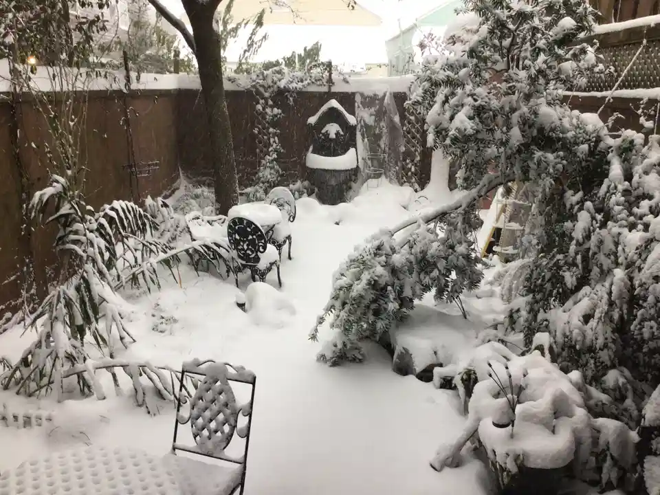 A backyard is completely buried under a thick layer of snow, with ornamental chairs, bushes, and a fountain all heavily…