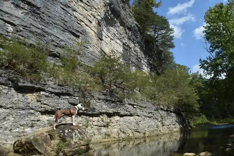 Basking Boulder in the Sun
