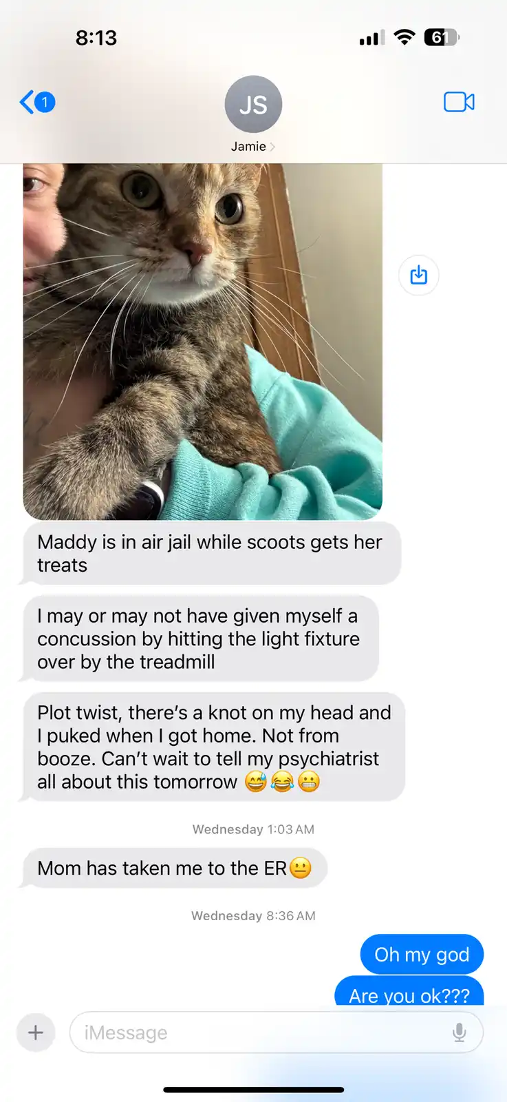 A screenshot of an iMessage conversation with a contact named Jamie, showing a photo of a tabby cat being held by a person…