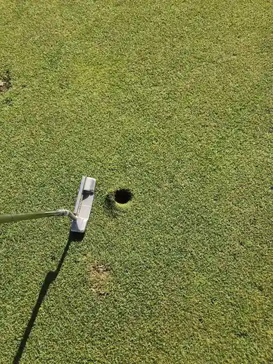 The Art of Pitch Mark: A Closer Look