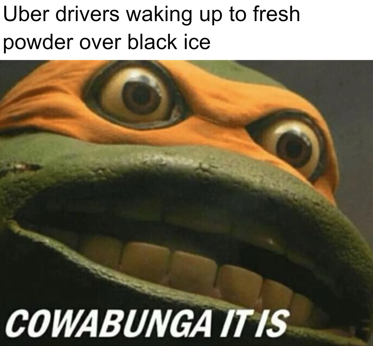A close-up image of Michelangelo from the Teenage Mutant Ninja Turtles, showing his wide-eyed, excited expression with his…